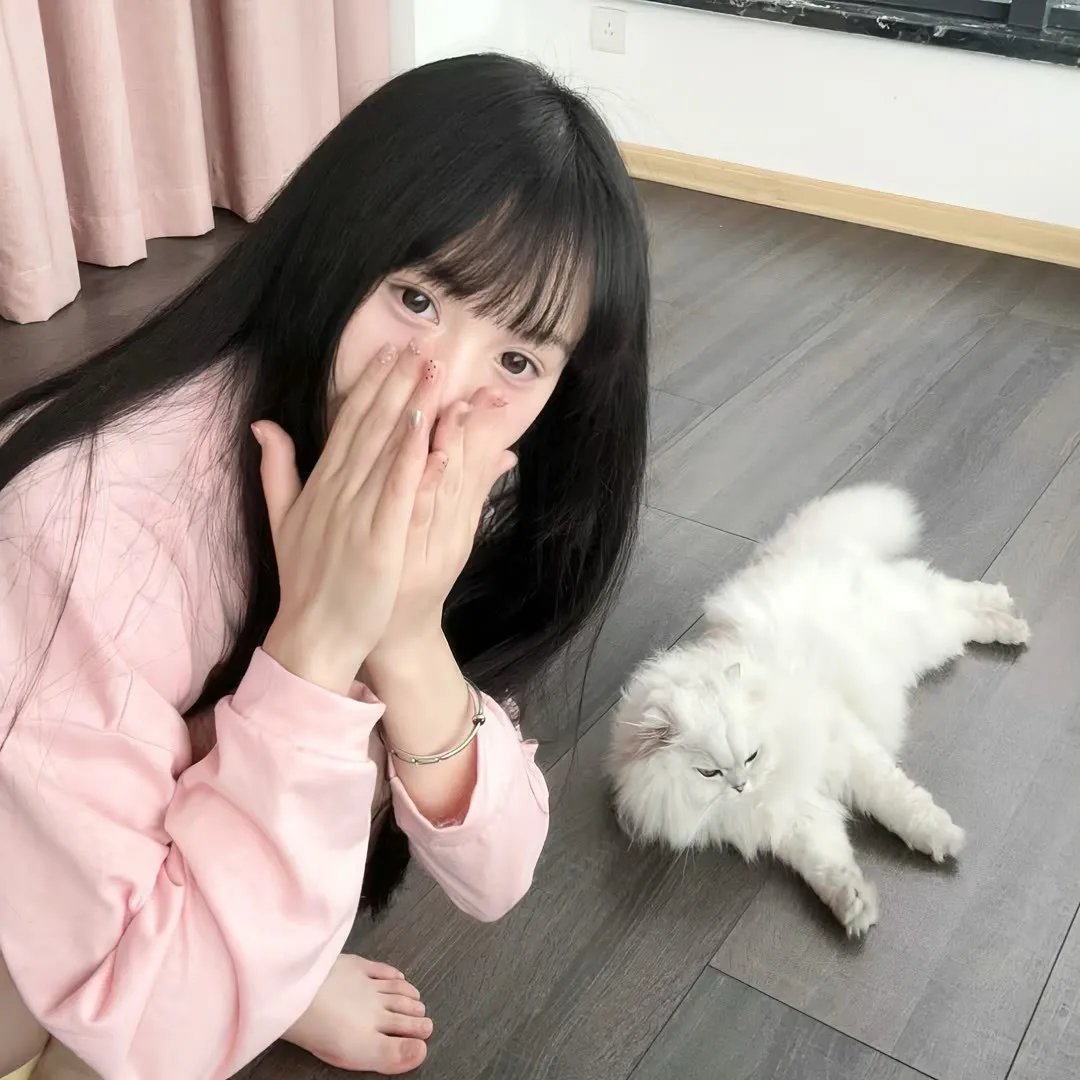 抛妻奇谈2